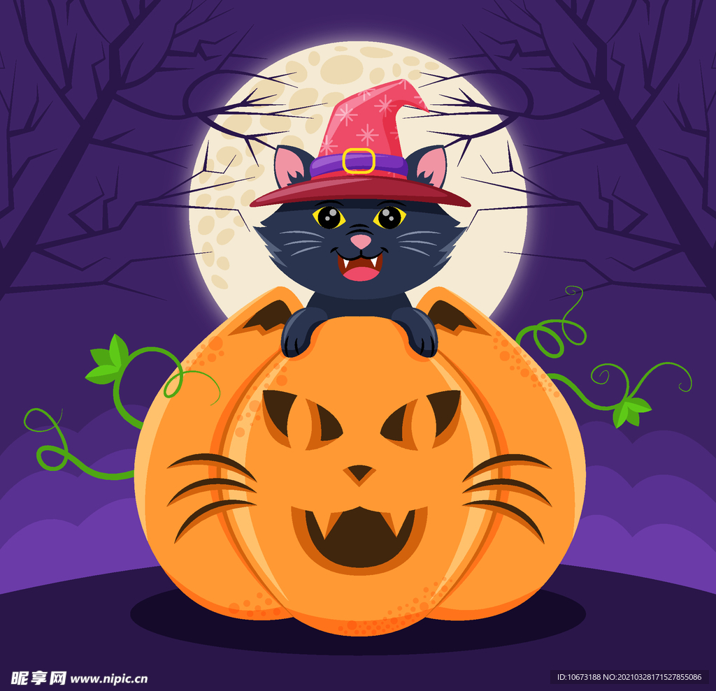 万圣节猫咪