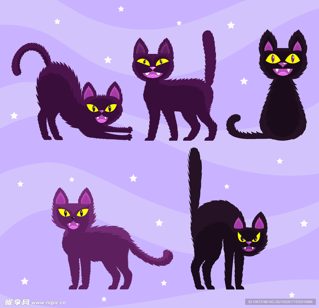 万圣节猫咪