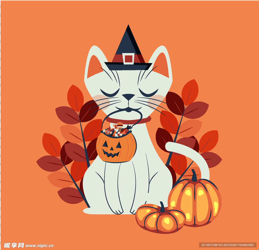 万圣节猫咪