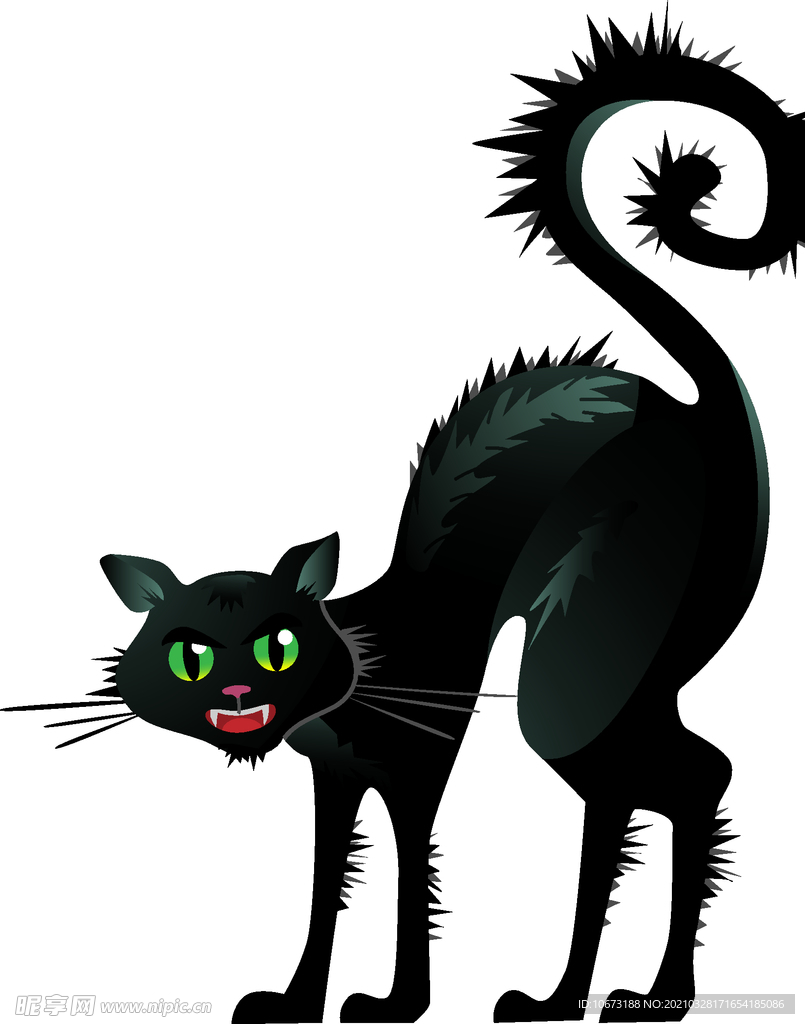 万圣节猫咪