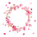 花圈 红花 红色花圈