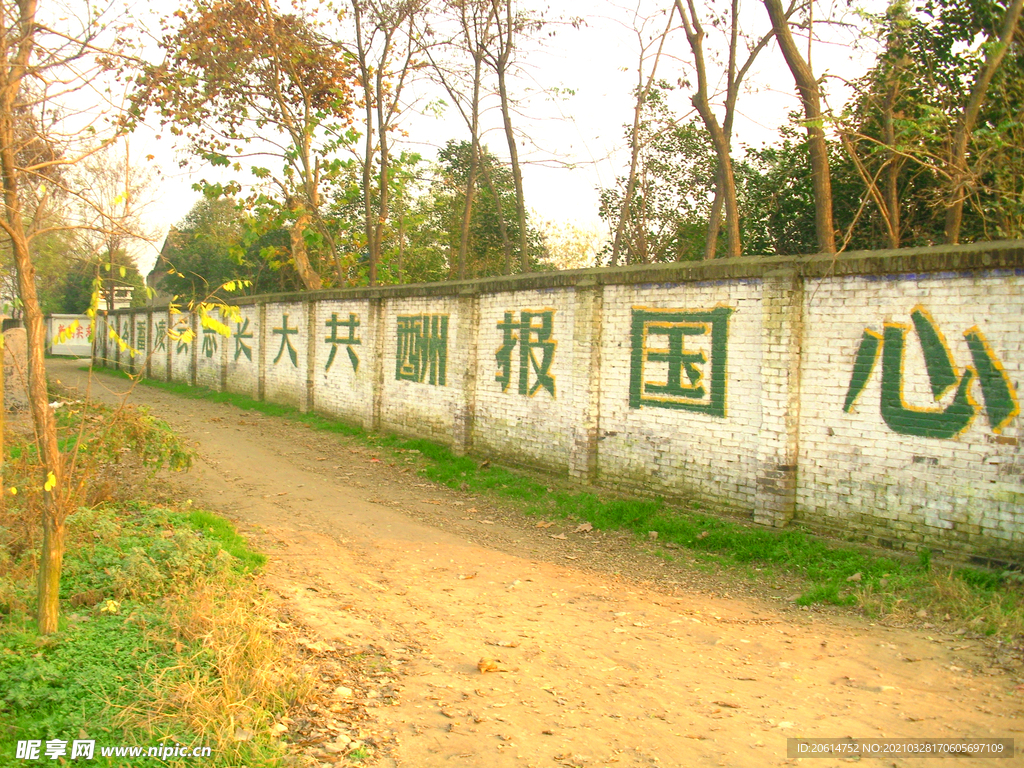 学校旁的小路