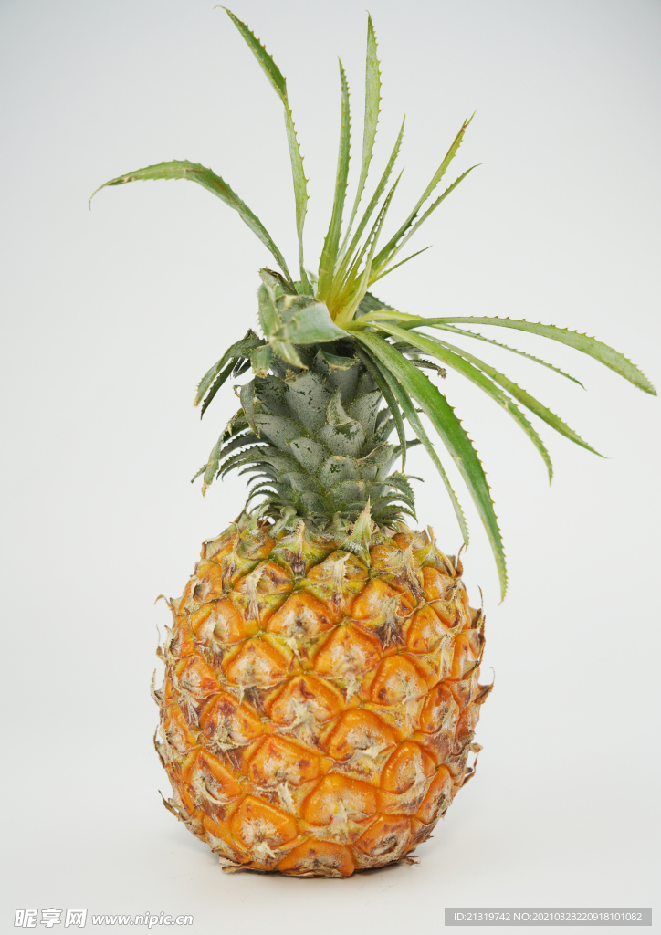 金灿灿的菠萝水果图片