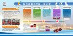 企业简介 文化 活动 宣传 海
