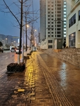 无人街道