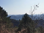 远山