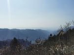 山