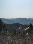 远山