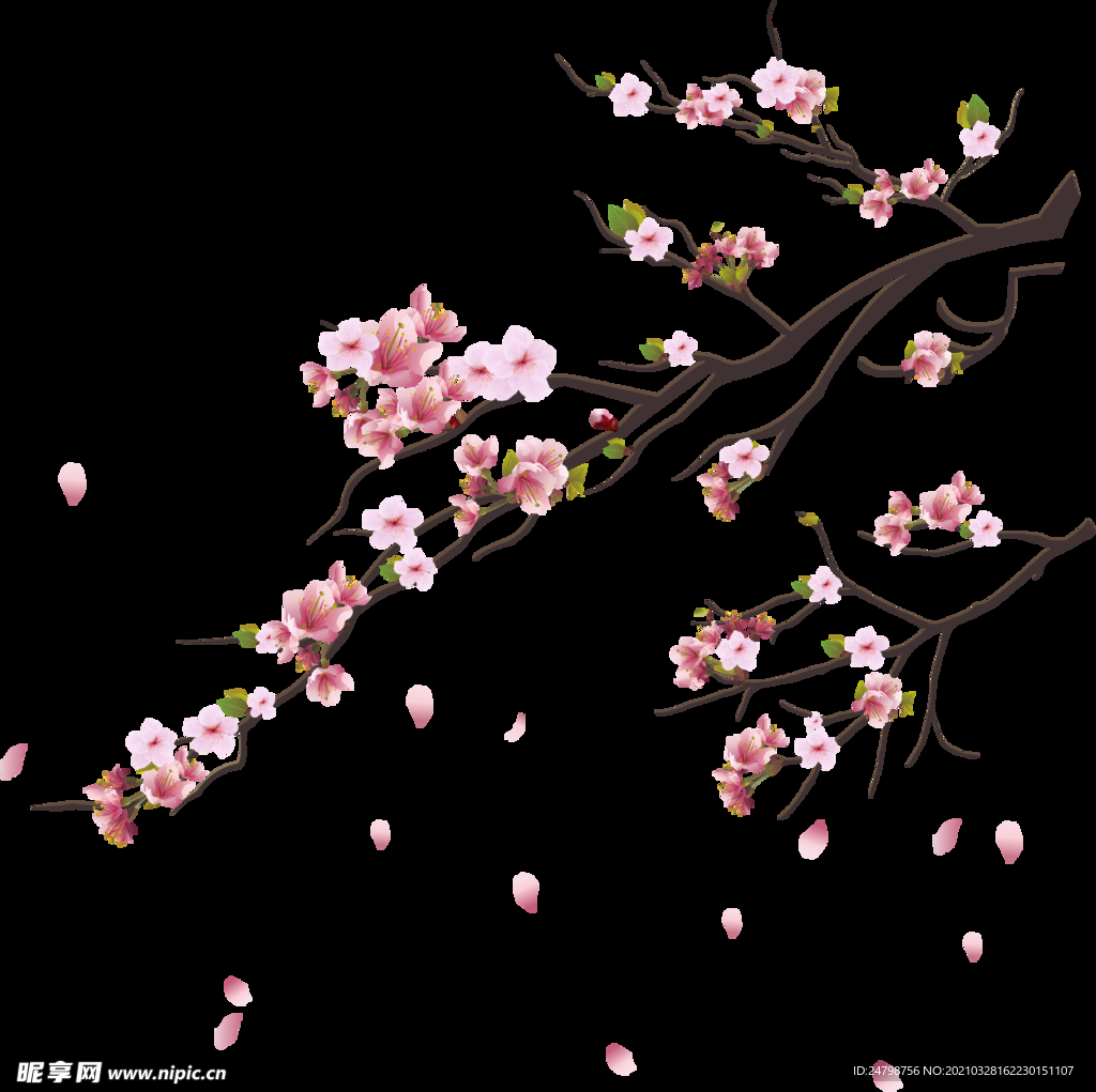 桃花
