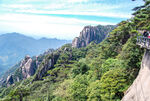 山青山