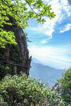 山青山