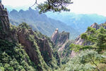 山青山
