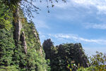 山青山