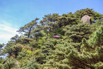 山青山