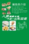 豆腐菌类海报