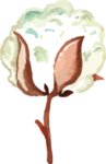 棉花素材