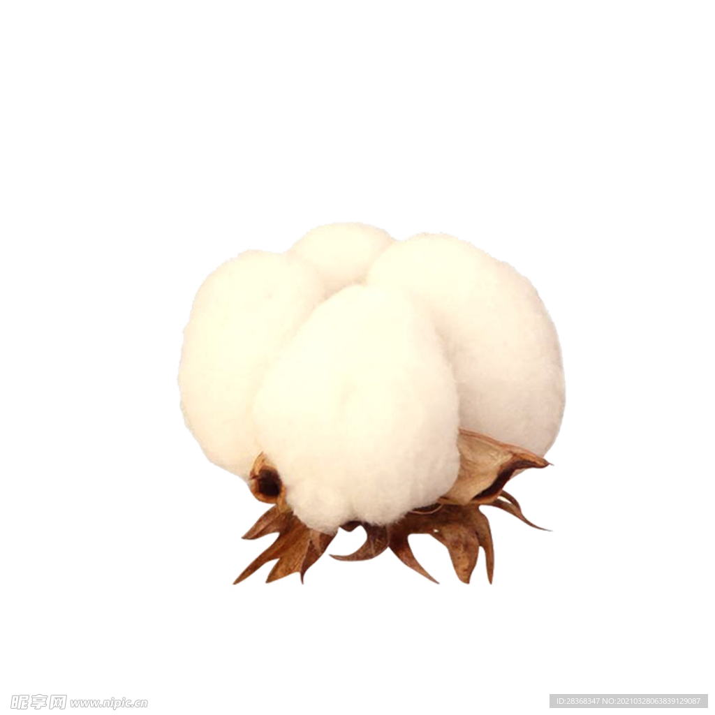 棉花素材