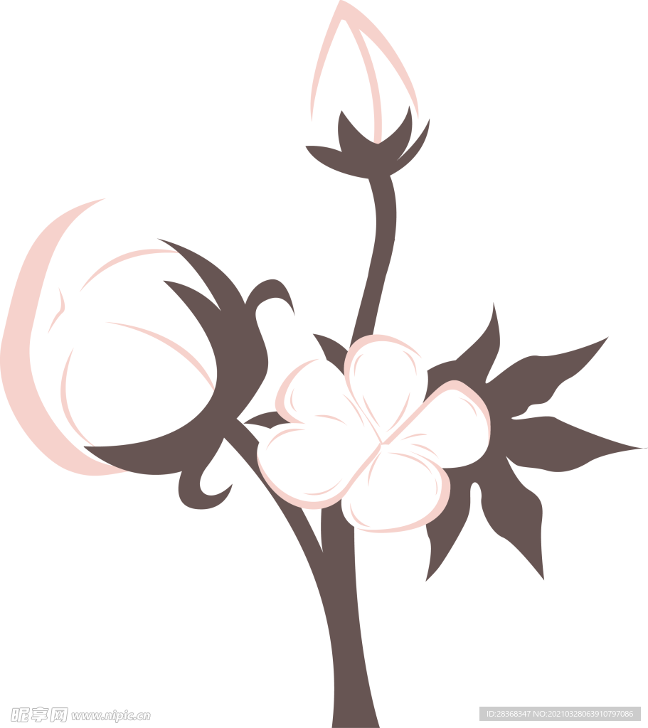 棉花素材