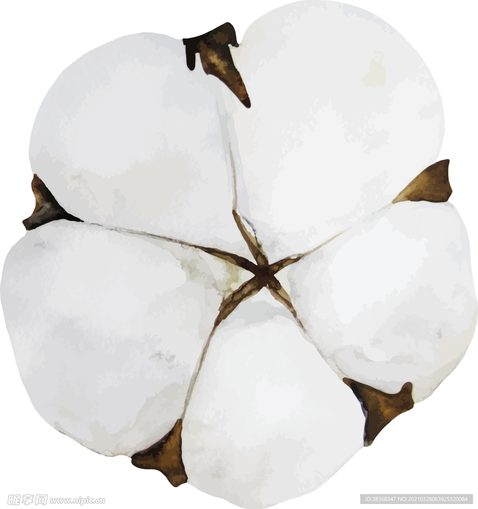 棉花素材