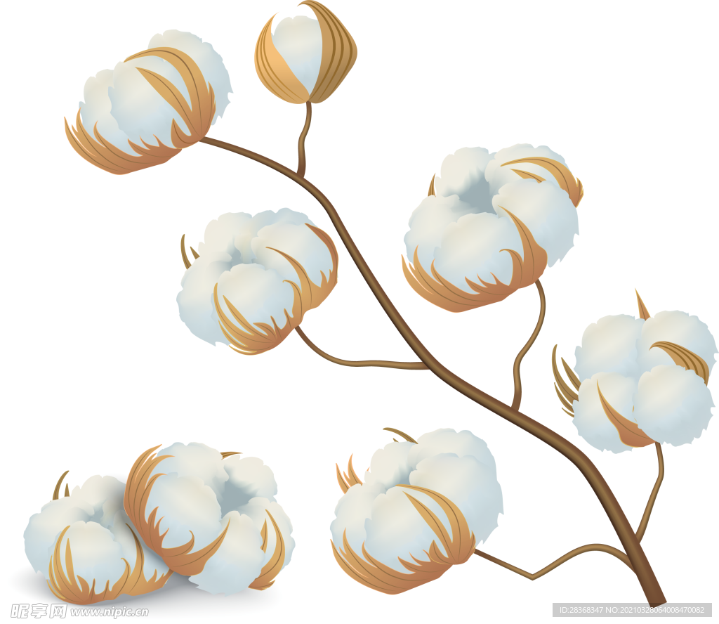 棉花素材