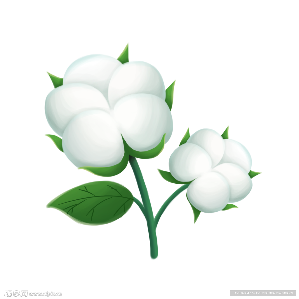 棉花素材