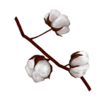 棉花素材