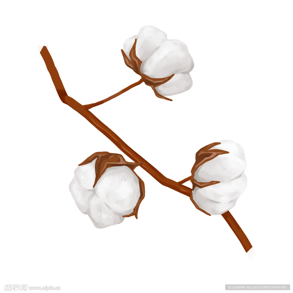 棉花素材