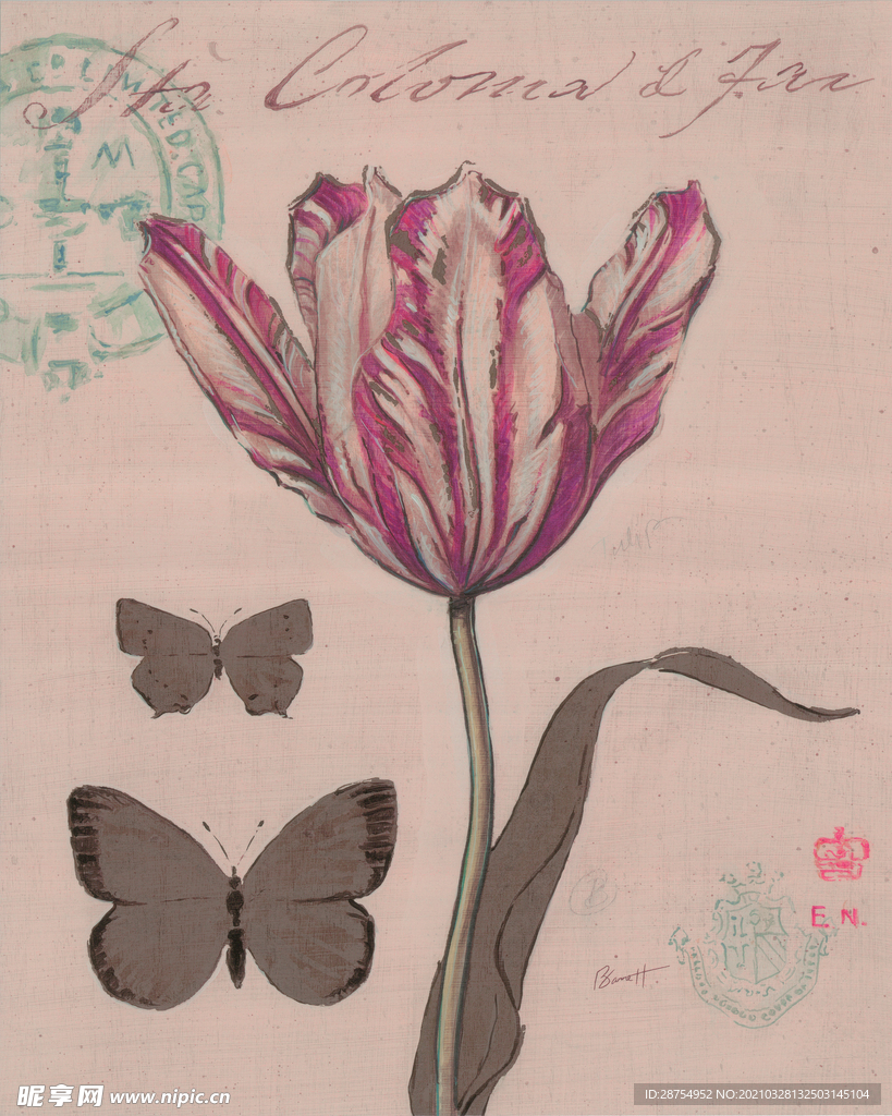水仙花