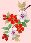 传统花纹