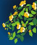 传统花纹