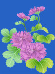 传统花纹
