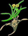 传统花纹