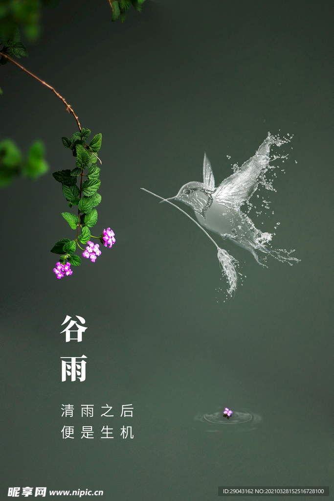 极简谷雨节气海报