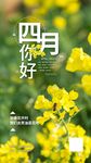 油菜花月份问好摄影图海报