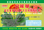 豆制品海报