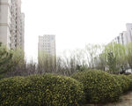 城市公园