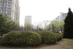 城市公园