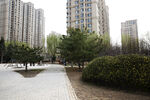城市公园