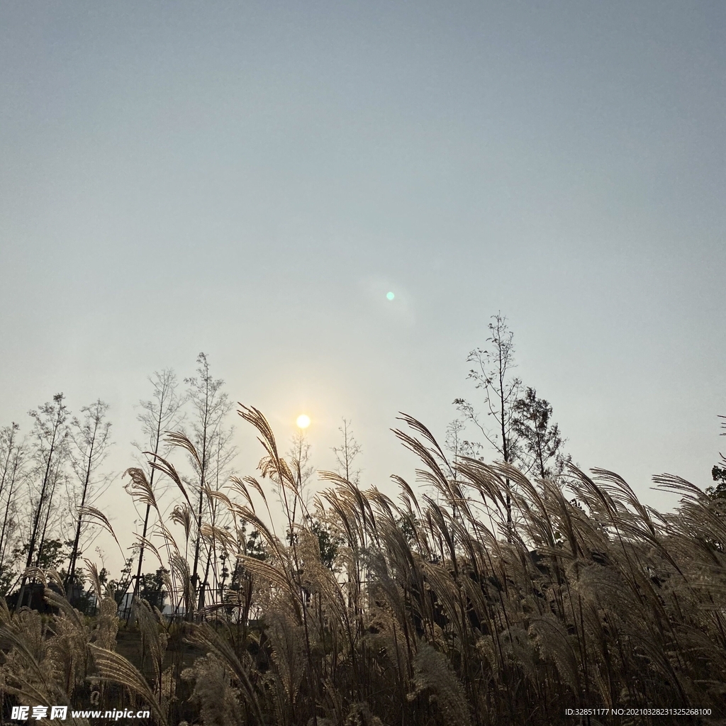 日出