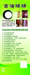 经络养生