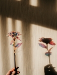 琉璃花