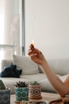 蜡烛香薰绿植