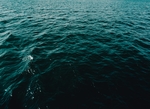 海水
