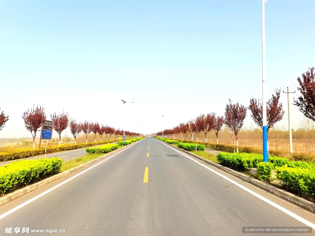 美丽的乡村道路风景
