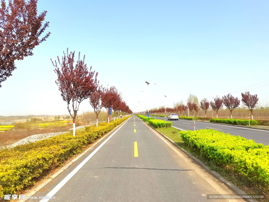 蓝天下的乡村道路