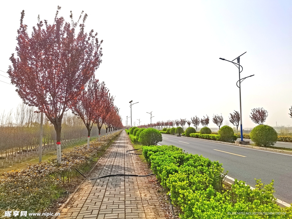 蓝天下的乡村道路美景