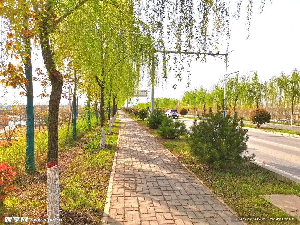 美丽的乡村道路风景