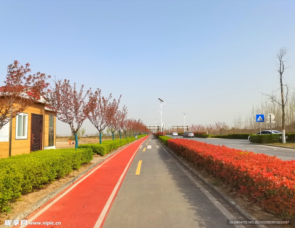 城市道路风景