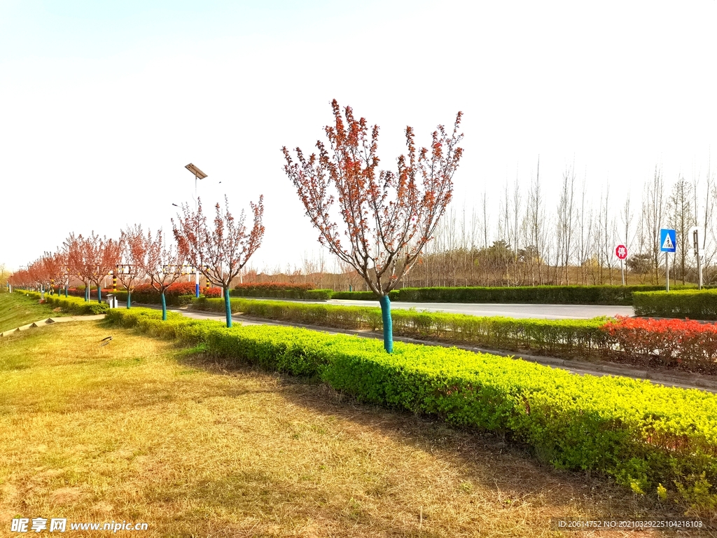 美丽的公园风景