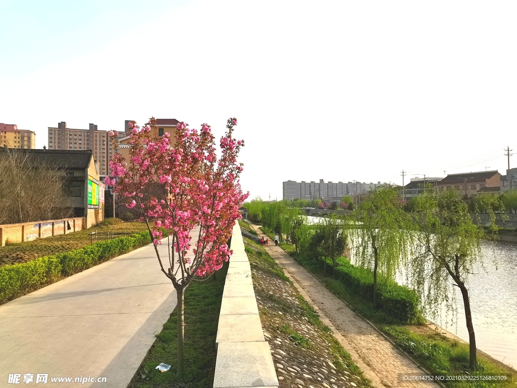 城市道路风景